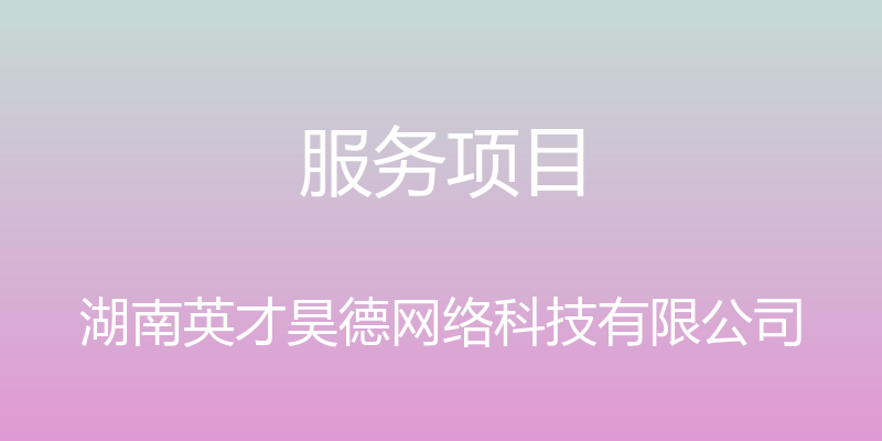 服务项目 - 湖南英才昊德网络科技有限公司